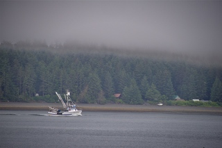 Filename=DSC_3696.jpg
Filesize=18399KiB
Dimensions=7360x4912
Date added=Sep 16, 2019 DSC_3696.jpg