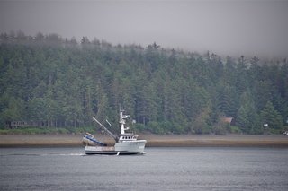 Filename=DSC_3697.jpg
Filesize=21631KiB
Dimensions=7360x4912
Date added=Sep 16, 2019 DSC_3697.jpg