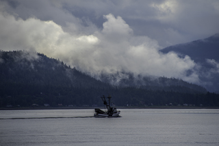 Filename=DSC_3698.jpg
Filesize=14525KiB
Dimensions=6931x4626
Date added=Sep 16, 2019 DSC_3698.jpg