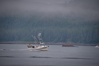 Filename=DSC_3702.jpg
Filesize=15651KiB
Dimensions=7360x4912
Date added=Sep 16, 2019 DSC_3702.jpg