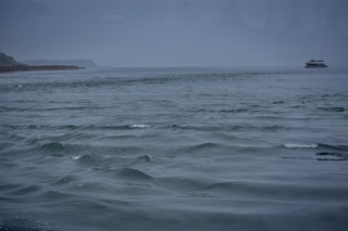 Filename=DSC_3703.jpg
Filesize=6267KiB
Dimensions=7360x4912
Date added=Sep 16, 2019 DSC_3703.jpg