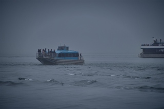 Filename=DSC_3704.jpg
Filesize=3670KiB
Dimensions=7360x4912
Date added=Sep 16, 2019 DSC_3704.jpg