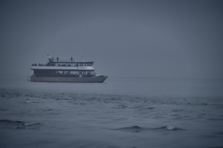 Filename=DSC_3705.jpg
Filesize=3534KiB
Dimensions=7360x4912
Date added=Sep 16, 2019 DSC_3705.jpg