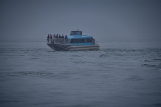 Filename=DSC_3706.jpg
Filesize=4023KiB
Dimensions=7360x4912
Date added=Sep 16, 2019 DSC_3706.jpg