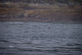 Filename=DSC_3707.jpg
Filesize=8457KiB
Dimensions=7360x4912
Date added=Sep 16, 2019 DSC_3707.jpg