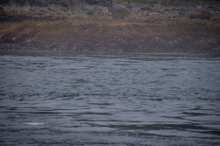 Filename=DSC_3708.jpg
Filesize=8684KiB
Dimensions=7360x4912
Date added=Sep 16, 2019 DSC_3708.jpg