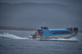 Filename=DSC_3710.jpg
Filesize=5143KiB
Dimensions=7360x4912
Date added=Sep 16, 2019 DSC_3710.jpg