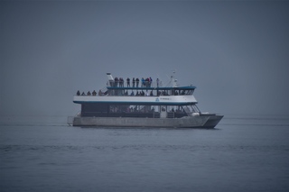 Filename=DSC_3717.jpg
Filesize=3666KiB
Dimensions=7360x4912
Date added=Sep 16, 2019 DSC_3717.jpg