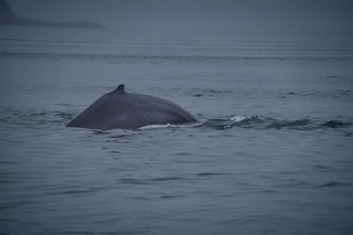 Filename=DSC_3734.jpg
Filesize=4254KiB
Dimensions=7360x4912
Date added=Sep 16, 2019 DSC_3734.jpg