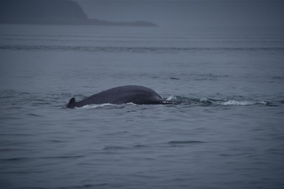 Filename=DSC_3736.jpg
Filesize=4129KiB
Dimensions=7360x4912
Date added=Sep 16, 2019 DSC_3736.jpg