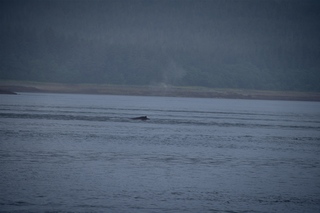 Filename=DSC_3751.jpg
Filesize=6410KiB
Dimensions=7360x4912
Date added=Sep 16, 2019 DSC_3751.jpg