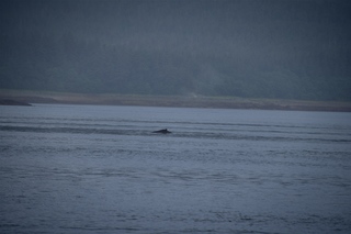 Filename=DSC_3752.jpg
Filesize=5546KiB
Dimensions=7360x4912
Date added=Sep 16, 2019 DSC_3752.jpg