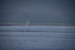 Filename=DSC_3753.jpg
Filesize=5396KiB
Dimensions=7360x4912
Date added=Sep 16, 2019 DSC_3753.jpg