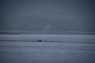 Filename=DSC_3755.jpg
Filesize=5564KiB
Dimensions=7360x4912
Date added=Sep 16, 2019 DSC_3755.jpg