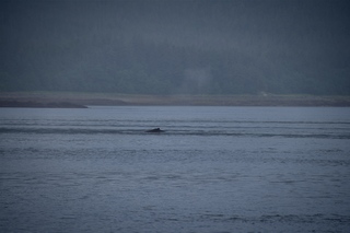 Filename=DSC_3756.jpg
Filesize=6565KiB
Dimensions=7360x4912
Date added=Sep 16, 2019 DSC_3756.jpg