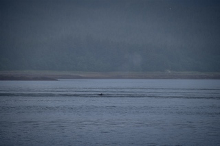 Filename=DSC_3757.jpg
Filesize=5287KiB
Dimensions=7360x4912
Date added=Sep 16, 2019 DSC_3757.jpg