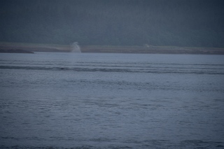 Filename=DSC_3758.jpg
Filesize=6338KiB
Dimensions=7360x4912
Date added=Sep 16, 2019 DSC_3758.jpg