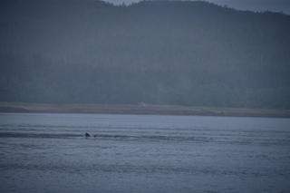 Filename=DSC_3769.jpg
Filesize=4749KiB
Dimensions=7360x4912
Date added=Sep 16, 2019 DSC_3769.jpg