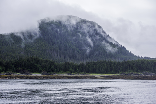 Filename=DSC_3770.jpg
Filesize=19908KiB
Dimensions=7177x4790
Date added=Sep 16, 2019 DSC_3770.jpg