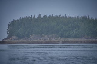 Filename=DSC_3773.jpg
Filesize=8405KiB
Dimensions=7360x4912
Date added=Sep 16, 2019 DSC_3773.jpg