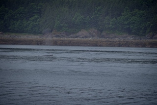 Filename=DSC_3776.jpg
Filesize=9449KiB
Dimensions=7360x4912
Date added=Sep 16, 2019 DSC_3776.jpg