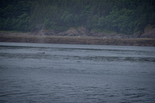 Filename=DSC_3777.jpg
Filesize=9207KiB
Dimensions=7360x4912
Date added=Sep 16, 2019 DSC_3777.jpg