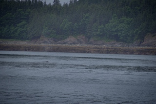 Filename=DSC_3778.jpg
Filesize=10212KiB
Dimensions=7360x4912
Date added=Sep 16, 2019 DSC_3778.jpg