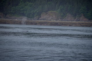 Filename=DSC_3780.jpg
Filesize=11314KiB
Dimensions=7360x4912
Date added=Sep 16, 2019 DSC_3780.jpg