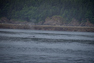 Filename=DSC_3781.jpg
Filesize=11898KiB
Dimensions=7360x4912
Date added=Sep 16, 2019 DSC_3781.jpg