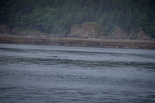 Filename=DSC_3782.jpg
Filesize=9714KiB
Dimensions=7360x4912
Date added=Sep 16, 2019 DSC_3782.jpg