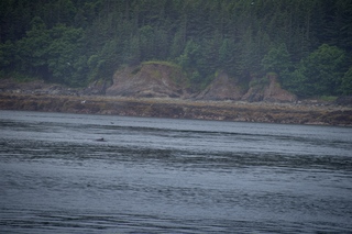 Filename=DSC_3783.jpg
Filesize=13403KiB
Dimensions=7360x4912
Date added=Sep 16, 2019 DSC_3783.jpg