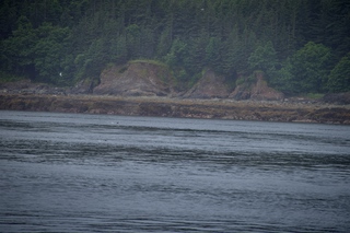 Filename=DSC_3784.jpg
Filesize=9704KiB
Dimensions=7360x4912
Date added=Sep 16, 2019 DSC_3784.jpg