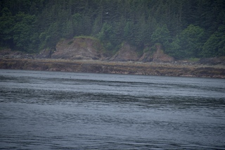 Filename=DSC_3785.jpg
Filesize=11876KiB
Dimensions=7360x4912
Date added=Sep 16, 2019 DSC_3785.jpg