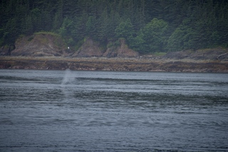 Filename=DSC_3786.jpg
Filesize=12199KiB
Dimensions=7360x4912
Date added=Sep 16, 2019 DSC_3786.jpg