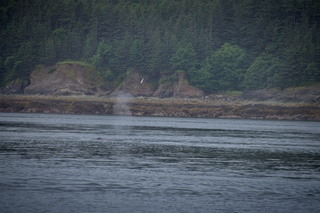 Filename=DSC_3787.jpg
Filesize=12460KiB
Dimensions=7360x4912
Date added=Sep 16, 2019 DSC_3787.jpg