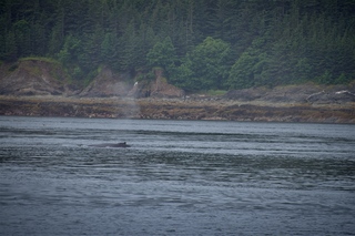 Filename=DSC_3788.jpg
Filesize=11984KiB
Dimensions=7360x4912
Date added=Sep 16, 2019 DSC_3788.jpg