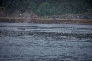 Filename=DSC_3789.jpg
Filesize=11307KiB
Dimensions=7360x4912
Date added=Sep 16, 2019 DSC_3789.jpg