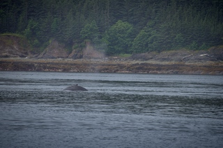 Filename=DSC_3791.jpg
Filesize=11734KiB
Dimensions=7360x4912
Date added=Sep 16, 2019 DSC_3791.jpg