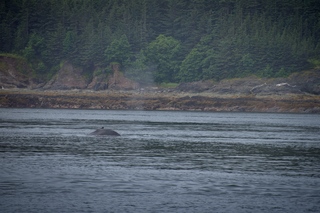 Filename=DSC_3792.jpg
Filesize=12395KiB
Dimensions=7360x4912
Date added=Sep 16, 2019 DSC_3792.jpg