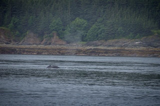 Filename=DSC_3793.jpg
Filesize=12690KiB
Dimensions=7360x4912
Date added=Sep 16, 2019 DSC_3793.jpg