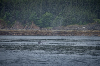 Filename=DSC_3796.jpg
Filesize=12739KiB
Dimensions=7360x4912
Date added=Sep 16, 2019 DSC_3796.jpg