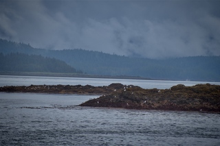 Filename=DSC_3801.jpg
Filesize=6125KiB
Dimensions=7360x4912
Date added=Sep 16, 2019 DSC_3801.jpg