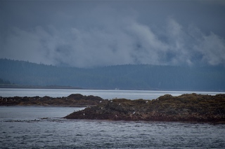 Filename=DSC_3802.jpg
Filesize=6261KiB
Dimensions=7360x4912
Date added=Sep 16, 2019 DSC_3802.jpg