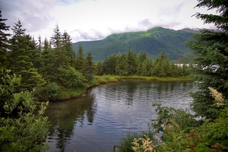 Filename=DSC_3814.jpg
Filesize=14876KiB
Dimensions=7360x4912
Date added=Sep 16, 2019 DSC_3814.jpg