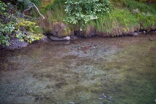 Filename=DSC_3816.jpg
Filesize=22164KiB
Dimensions=7360x4912
Date added=Sep 16, 2019 DSC_3816.jpg