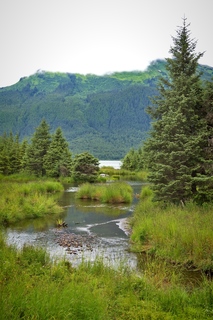 Filename=DSC_3820.jpg
Filesize=17716KiB
Dimensions=4912x7360
Date added=Sep 16, 2019 DSC_3820.jpg