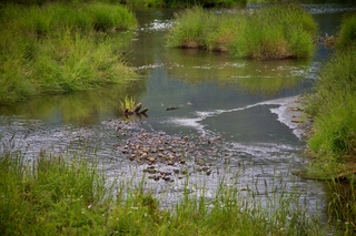 Filename=DSC_3821.jpg
Filesize=14250KiB
Dimensions=7360x4912
Date added=Sep 16, 2019 DSC_3821.jpg