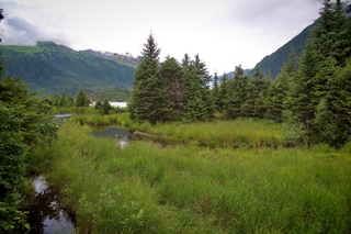 Filename=DSC_3822.jpg
Filesize=18248KiB
Dimensions=7360x4912
Date added=Sep 16, 2019 DSC_3822.jpg