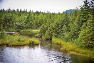 Filename=DSC_3849.jpg
Filesize=17733KiB
Dimensions=7360x4912
Date added=Sep 16, 2019 DSC_3849.jpg