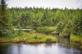 Filename=DSC_3850.jpg
Filesize=19947KiB
Dimensions=7360x4912
Date added=Sep 16, 2019 DSC_3850.jpg